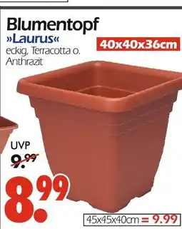 Wreesmann Blumentopf laurus Angebot