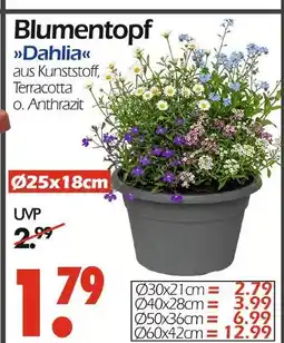 Wreesmann Blumentopf dahlia Angebot
