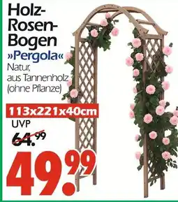 Wreesmann Holz-rosen-bogen pergola Angebot
