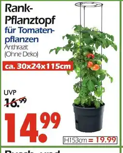 Wreesmann Rank-pflanztopf Angebot