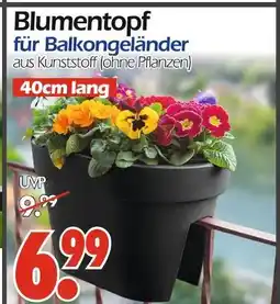 Wreesmann Blumentopf für balkongeländer Angebot