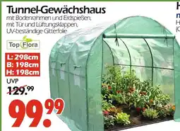 Wreesmann Top flora tunnel-gewächshaus Angebot