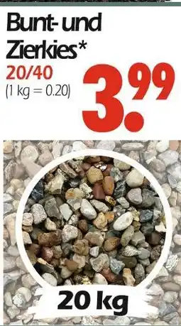 Wreesmann Bunt- und zierkies Angebot