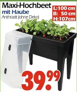 Wreesmann Maxi-hochbeet mit haube Angebot