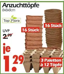 Wreesmann Top flora anzuchttöpfe Angebot