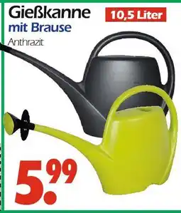 Wreesmann Gießkanne mit brause Angebot
