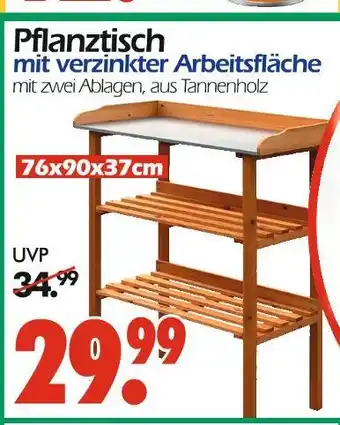 Wreesmann Pflanztisch Angebot