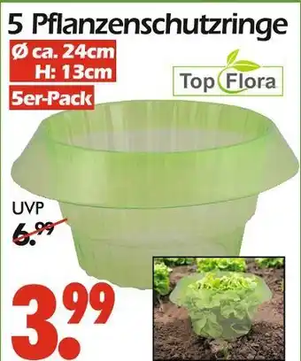 Wreesmann Top flora pflanzenschutzringe Angebot