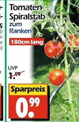 Wreesmann Tomaten-spiralstab Angebot