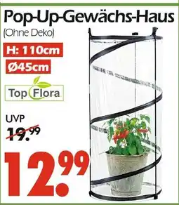 Wreesmann Top flora pop-up-gewächs-haus Angebot