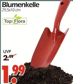 Wreesmann Top flora blumenkelle Angebot
