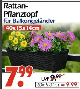 Wreesmann Rattan-pflanztopf Angebot