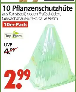 Wreesmann Top flora pflanzenschutzhüte Angebot