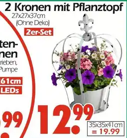 Wreesmann Blumen mit pflanztopf Angebot
