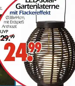 Wreesmann Led-solar-gartenlaterne mit flackereffekt Angebot