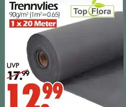 Wreesmann Top flora trennvlies Angebot