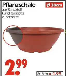 Wreesmann Pflanzschale ø30cm Angebot