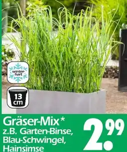 Wreesmann Gräser-mix Angebot