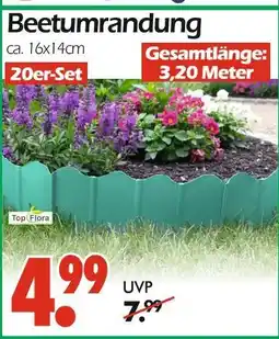 Wreesmann Top flora beetumrandung Angebot