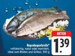 E-Center Regenbogenforelle Angebot