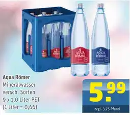 Getränke Arena Aqua römer mineralwasser Angebot