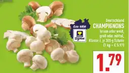 Marktkauf Champignons Angebot
