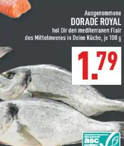 Marktkauf Dorade royal Angebot