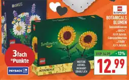 Marktkauf Lego botanicals blumen sonnenblumen Angebot