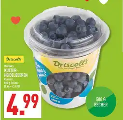 Marktkauf Driscoll's kultur-heidelbeeren Angebot
