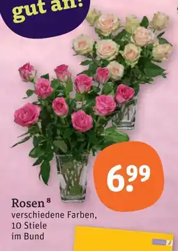 tegut Rosen Angebot