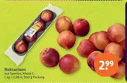 tegut Nektarinen Angebot