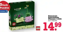 E-Center Lego botanicals schaukelnde pflanzen 11506 Angebot