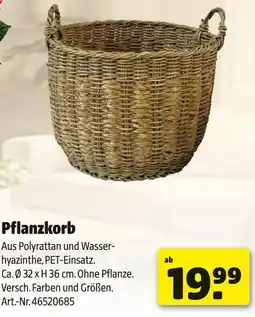 Hagebau Pflanzkorb Angebot