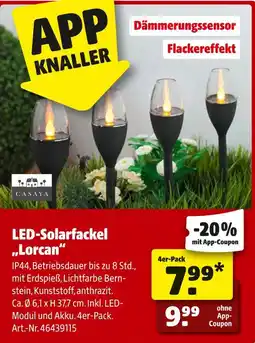 Hagebau Led-solarfackel „lorcan“ Angebot