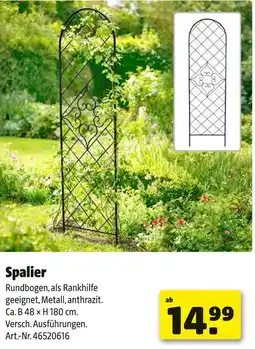 Hagebau Spalier Angebot