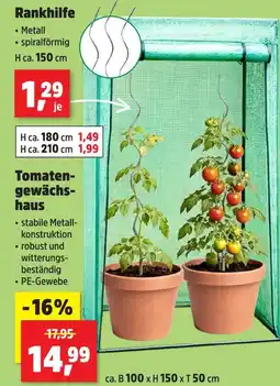Thomas Philipps Rankhilfe Angebot