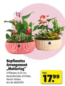 Hagebau Bepflanztes arrangement muttertag Angebot