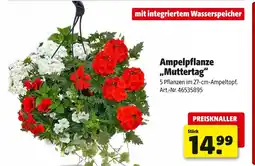 Hagebau Ampelpflanze „muttertag“ Angebot