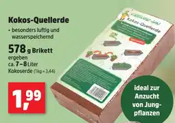 Thomas Philipps Kokos-quellerde Angebot