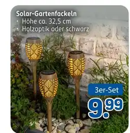 Rossmann Solar-gartenfackeln Angebot