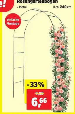 Thomas Philipps Rosengartenbogen Angebot