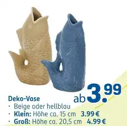 Rossmann Deko-vase klein Angebot