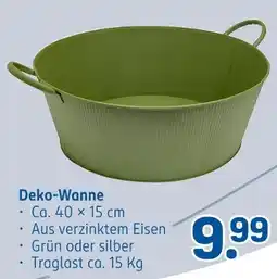 Rossmann Deko-wanne Angebot