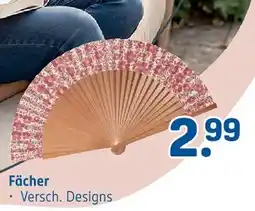 Rossmann Ideenwelt fächer Angebot