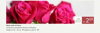 Nimm mich mit rose