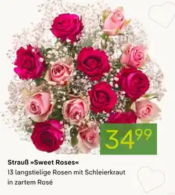 Pflanzen Kölle Strauß sweet roses Angebot