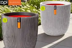 Pflanzen Kölle Capi europe pflanzgefäß groove Angebot
