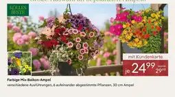 Pflanzen Kölle Kölles beste farbige mix-balkon-ampel Angebot