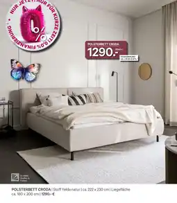 Kabs Polsterwelt Polsterbett croda Angebot