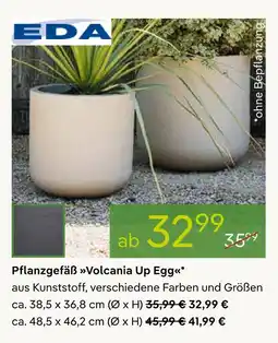 Pflanzen Kölle Eda pflanzgefäß volcania up egg Angebot